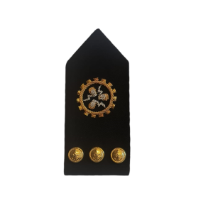 PALA FLEXIBLE SARGENTO 1° – MECÁNICO ELECTRICISTA